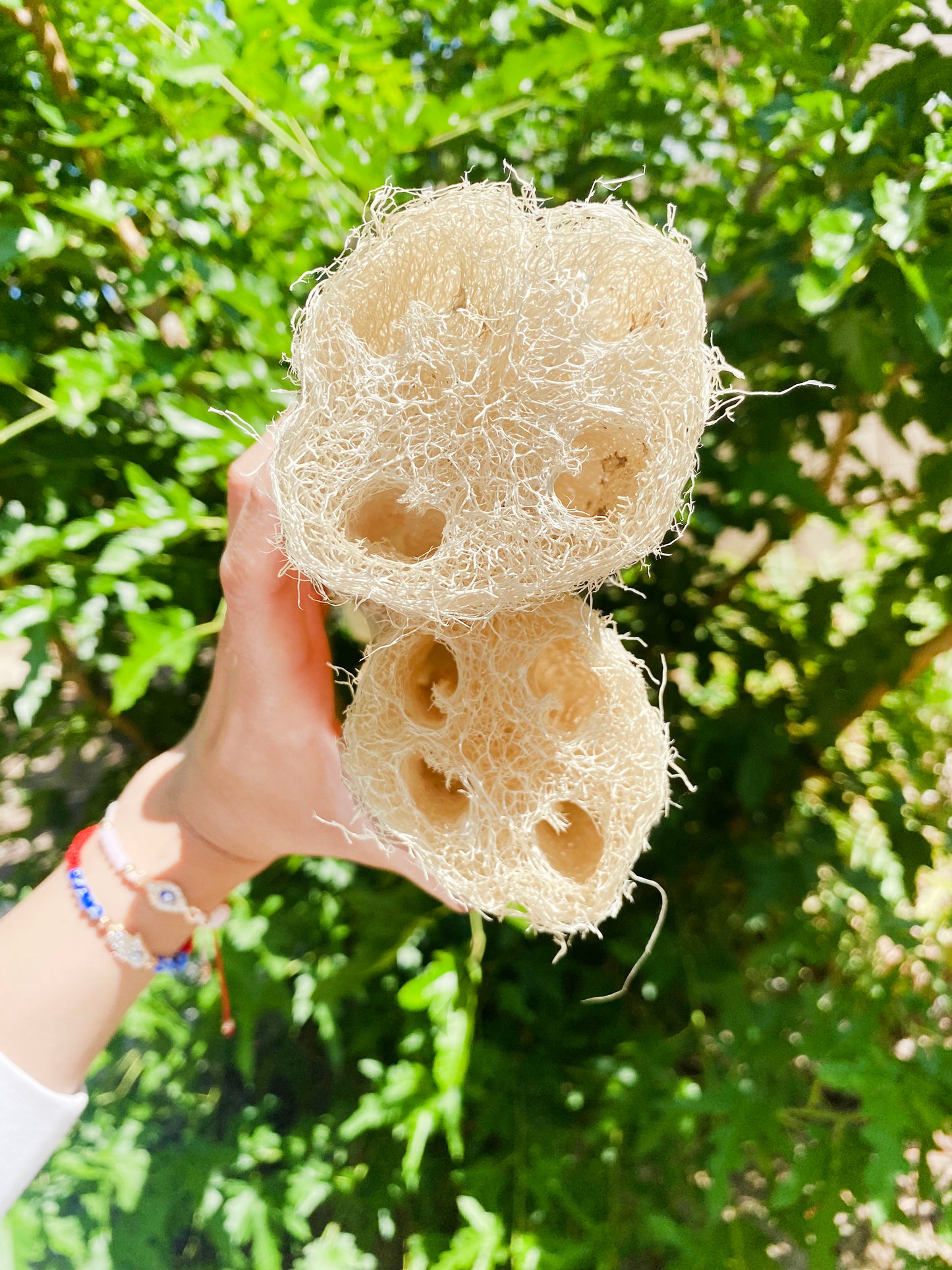 .Natural X-Large Whole Loofah Sponge