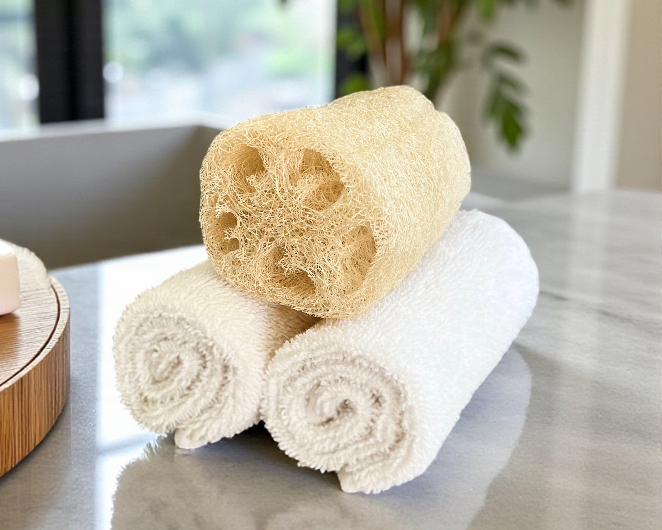 Loofah Sponges