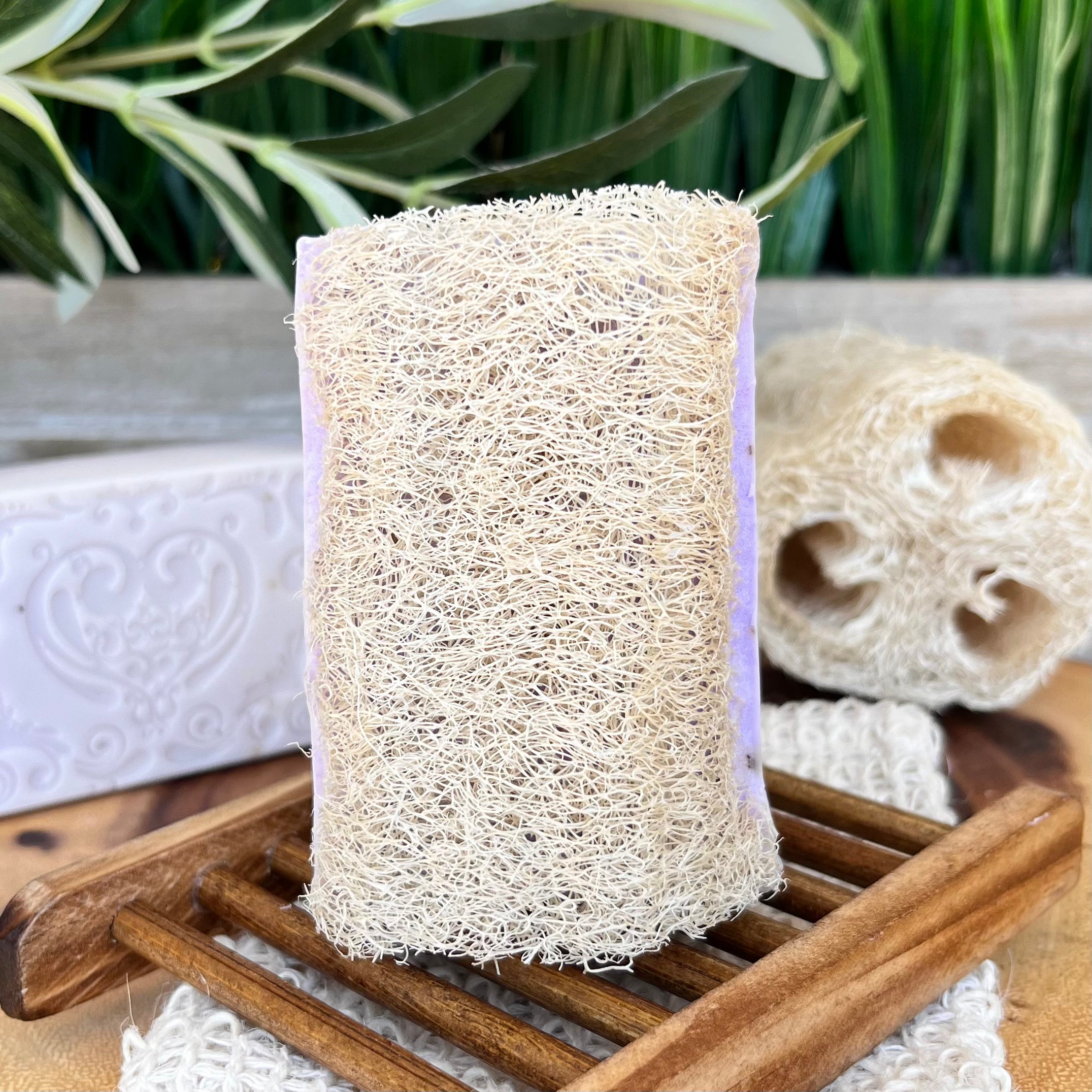 Lavender Shea Butter Loofah Soap Bar