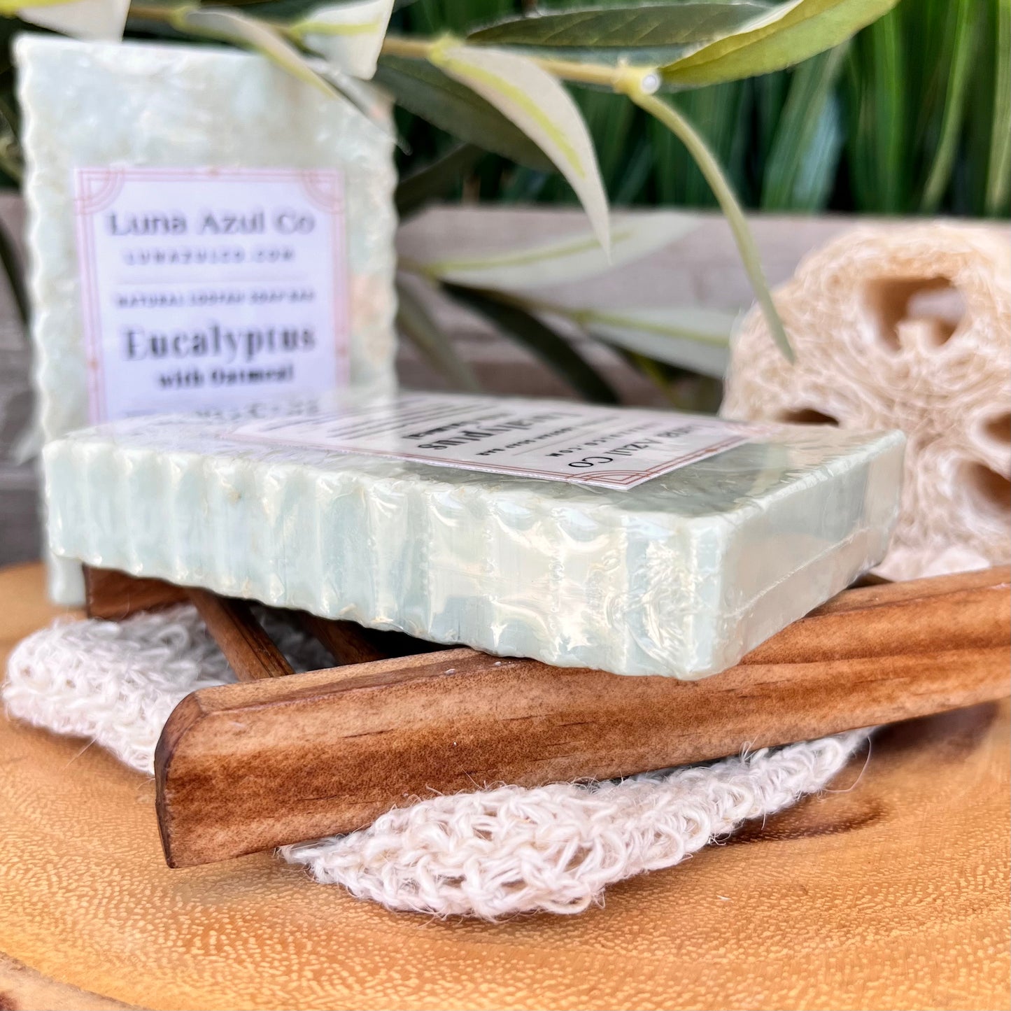 Eucalyptus Oatmeal Shredded Loofah Soap Bar