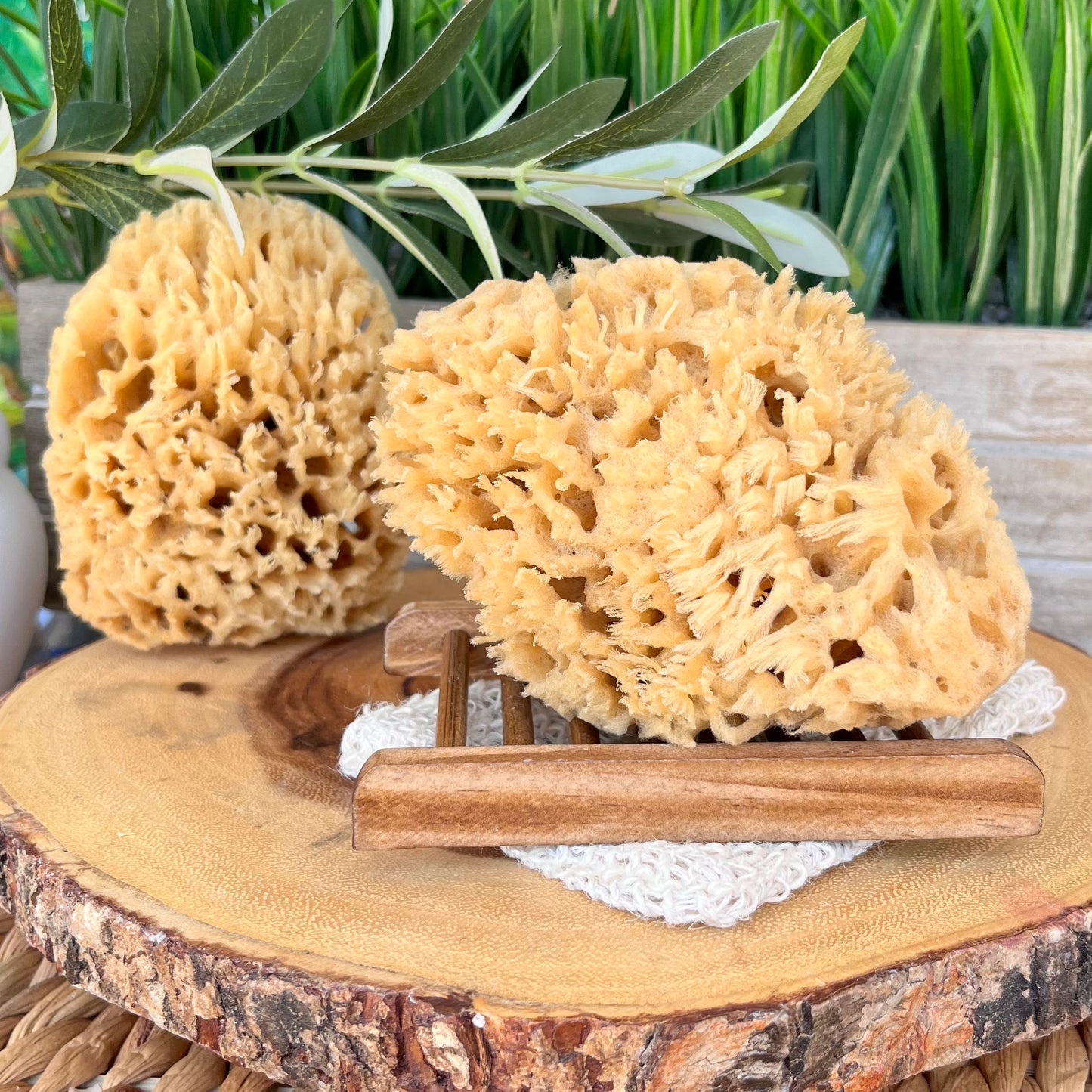 Natural Wool Sea Sponge