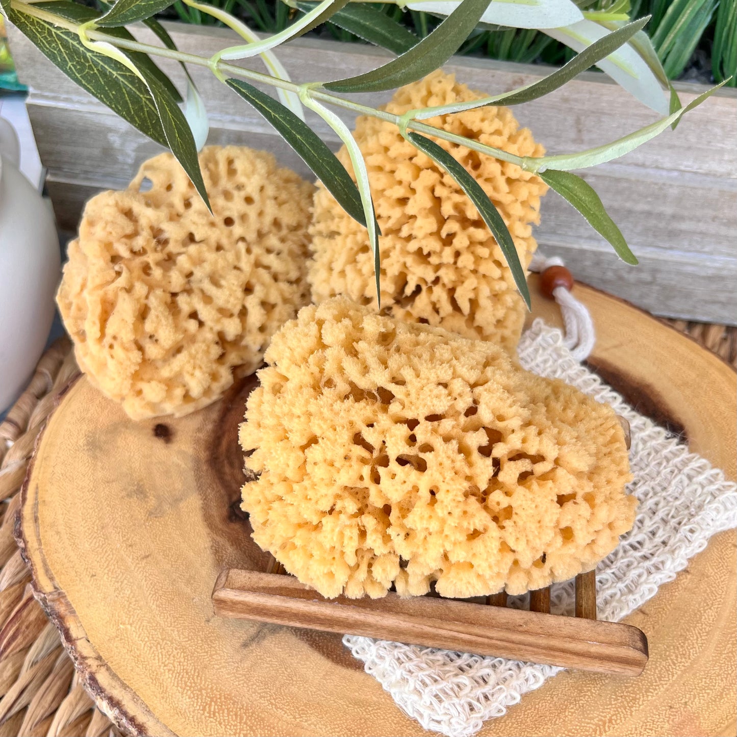 Natural Yellow Sea Sponge