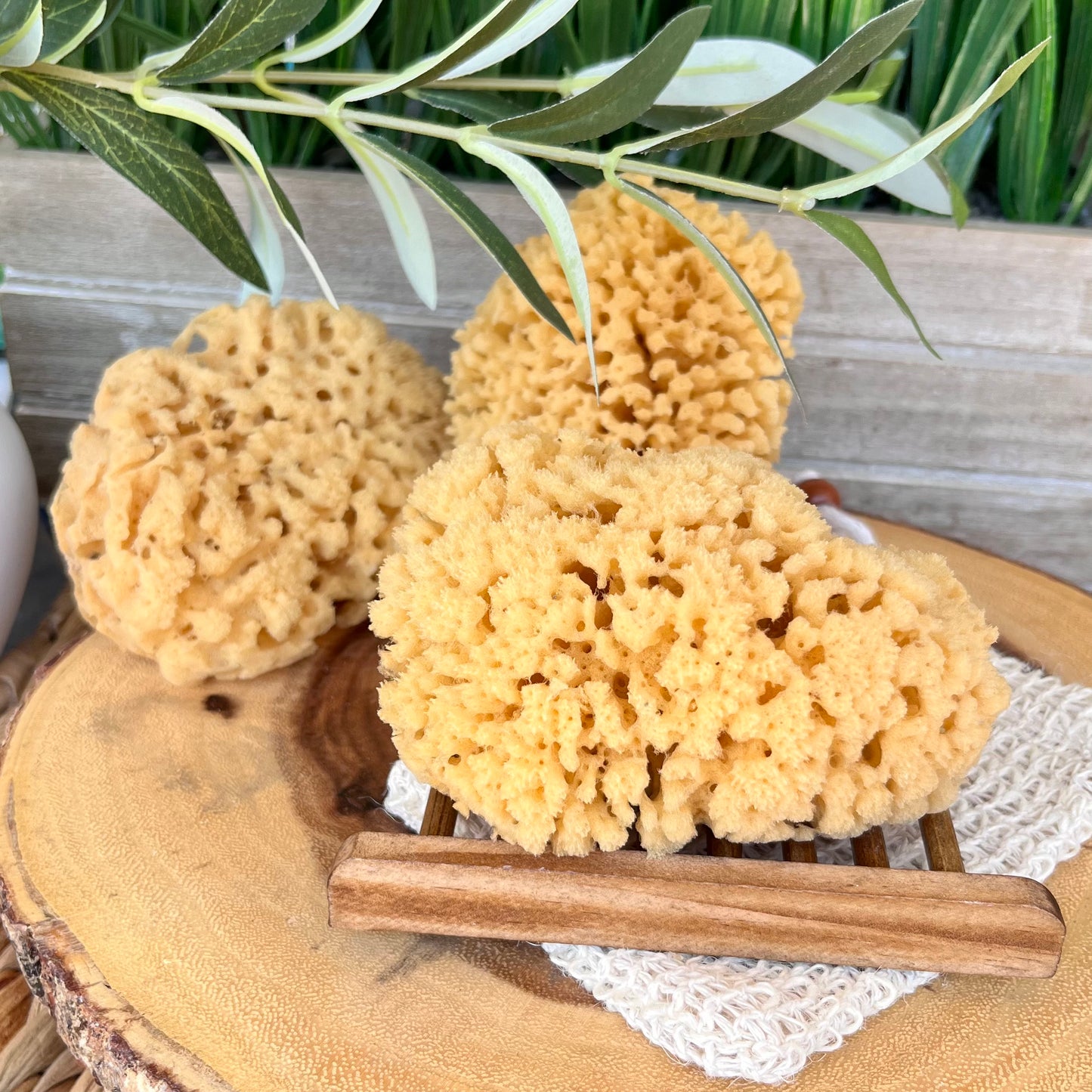 Natural Yellow Sea Sponge