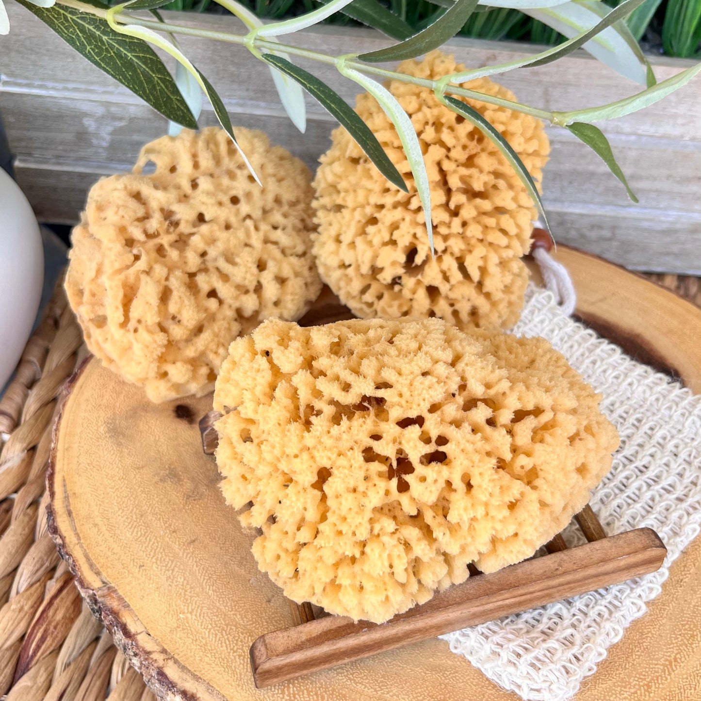 Natural Yellow Sea Sponge