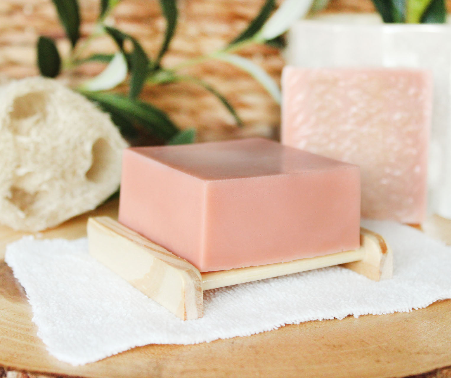 Merry Cranberry Loofah Soap with Goat Milk - 5.5oz