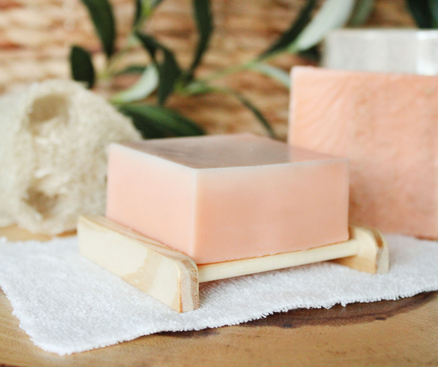 Citrus Lime Loofah Soap with Goat Milk - 5.5oz