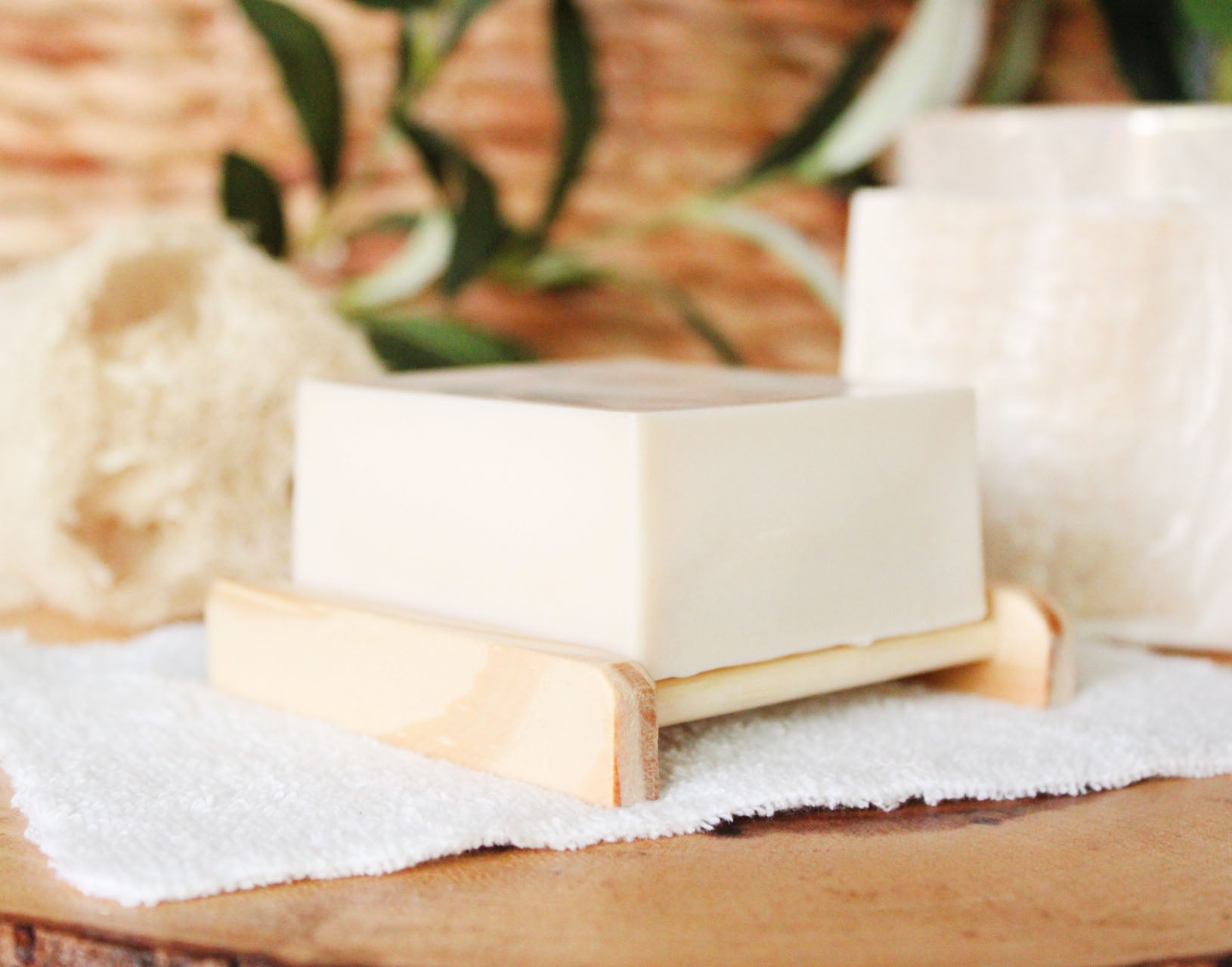 Coconut Shea Loofah Soap with Shea Butter - 5.5oz