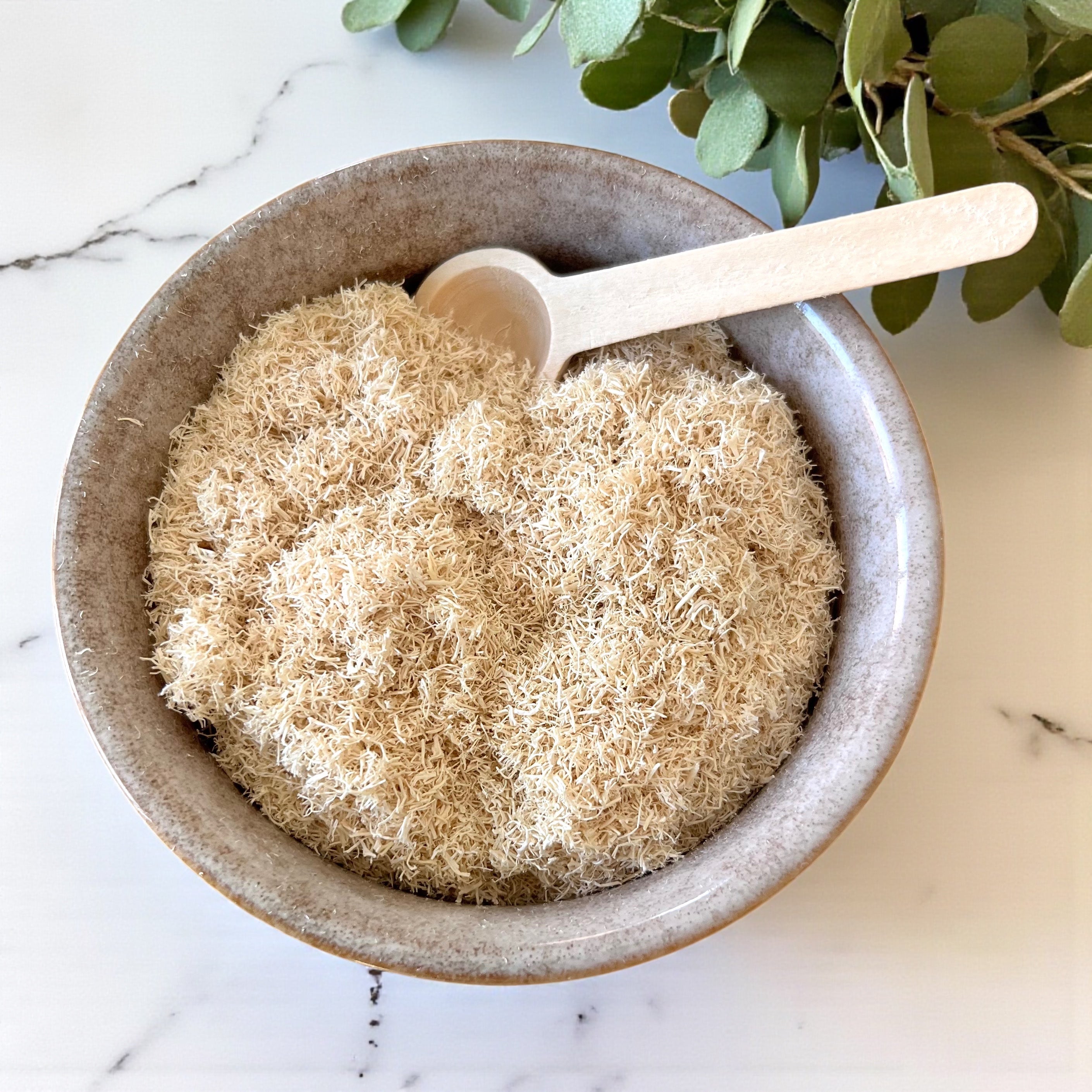 1 LBS Shredded Loofah
