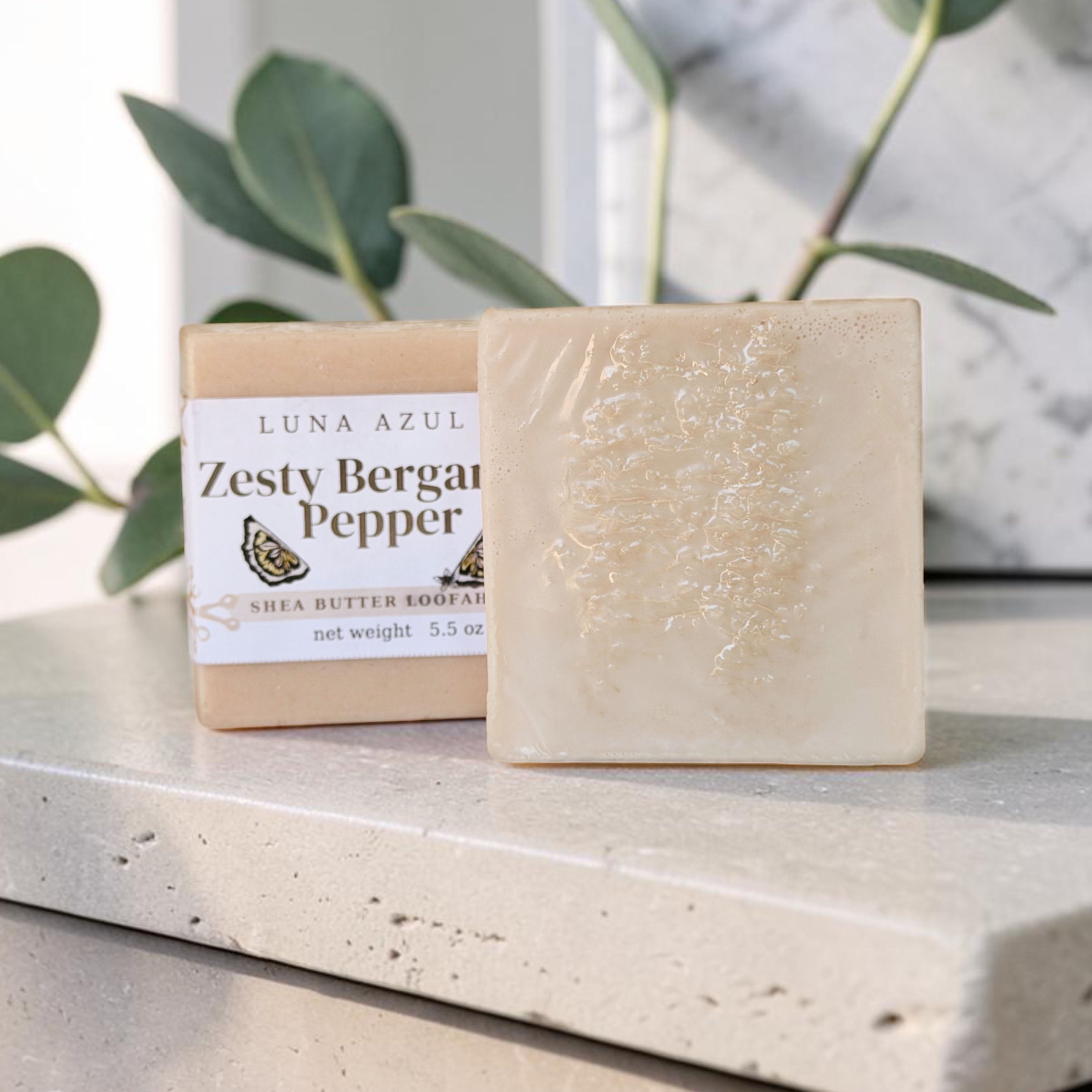 Zesty Bergamot Pepper Shea Butter Loofah Soap Bar - 5.5oz