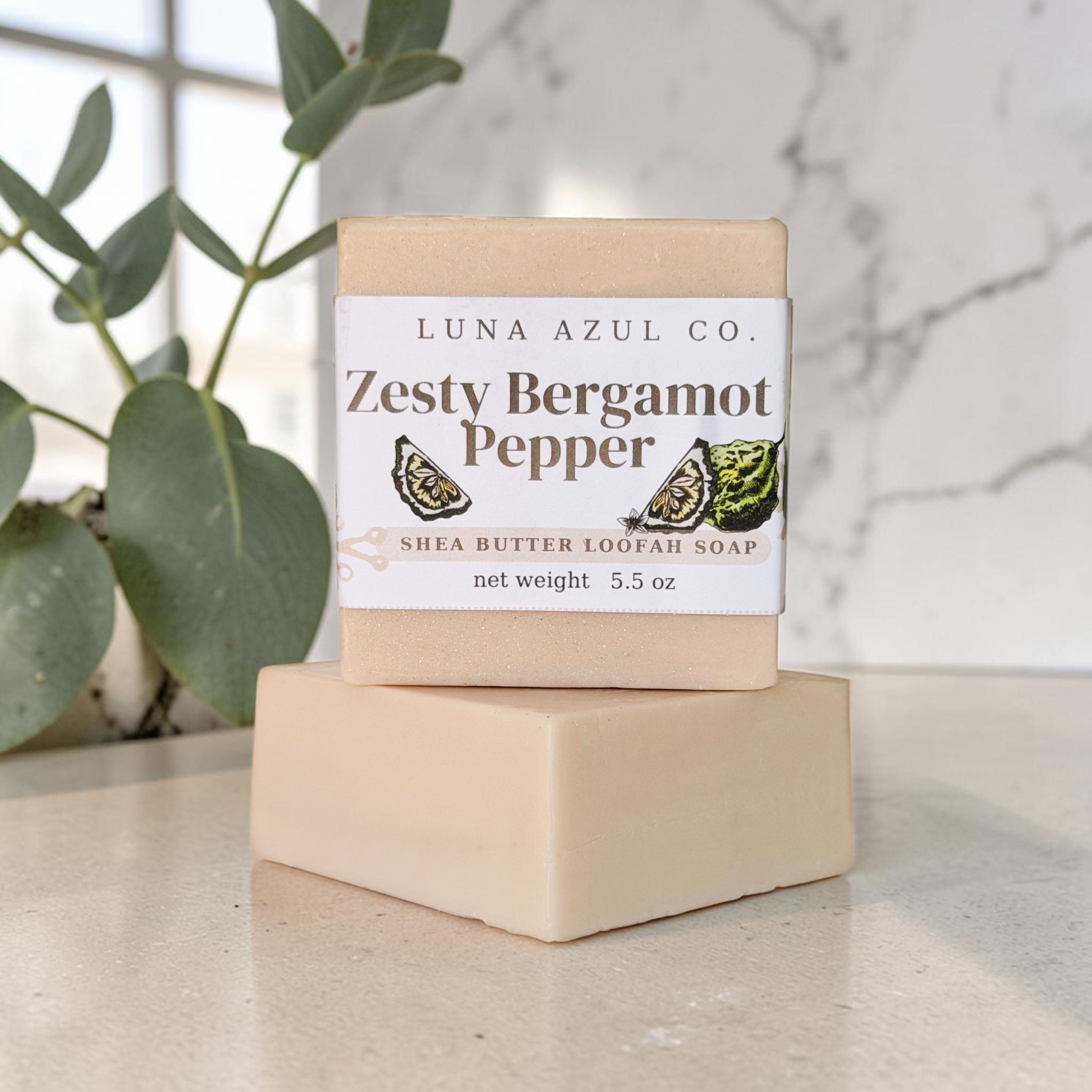 Zesty Bergamot Pepper Shea Butter Loofah Soap Bar - 5.5oz