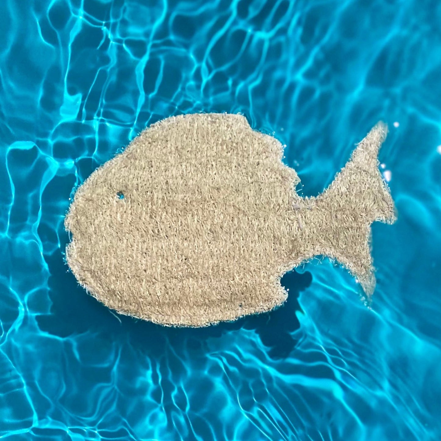 Fish Loofah Sponge