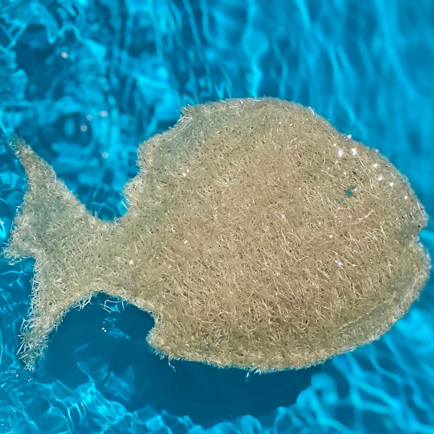 Fish Loofah Sponge