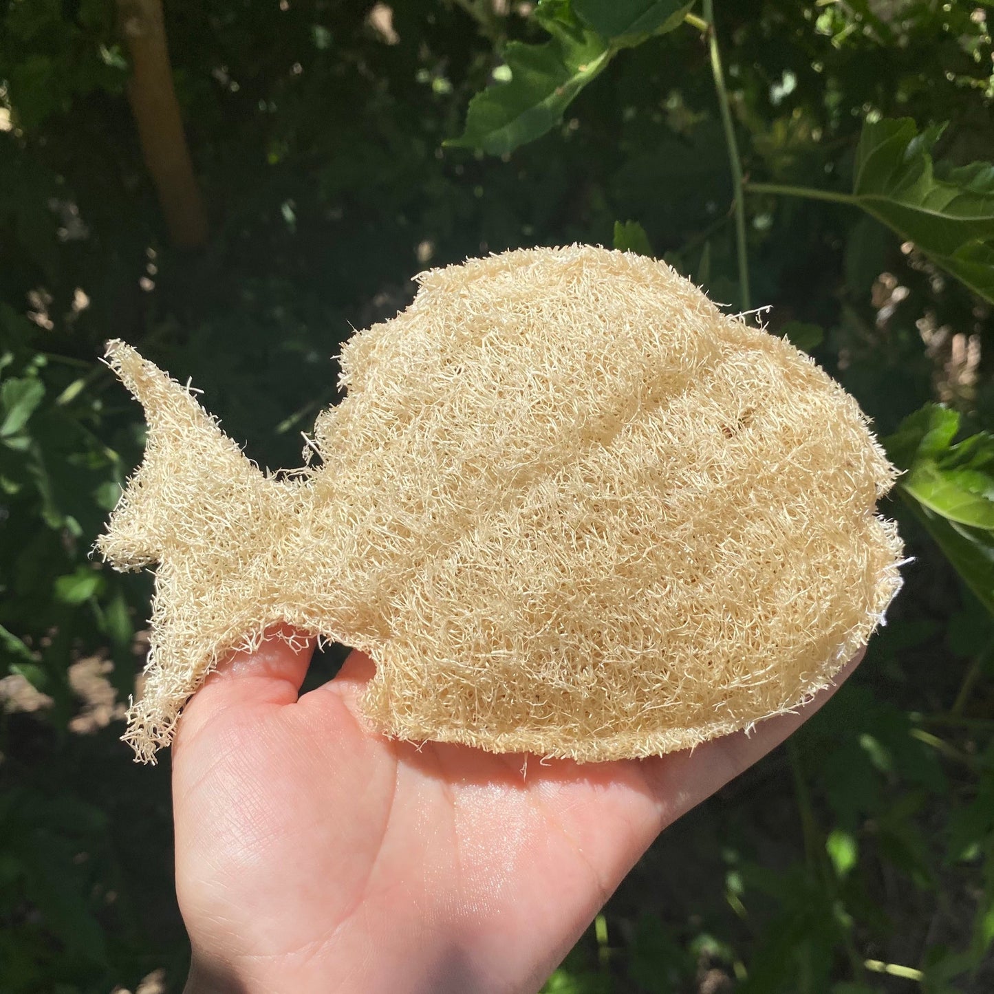 Fish Loofah Sponge