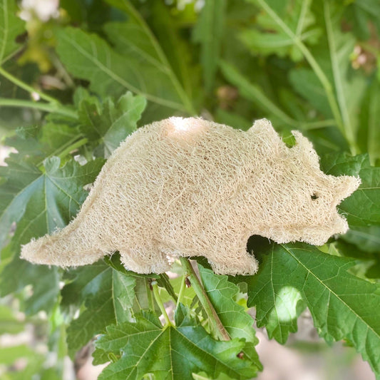 Dinosaur Triceratops Loofah Sponge