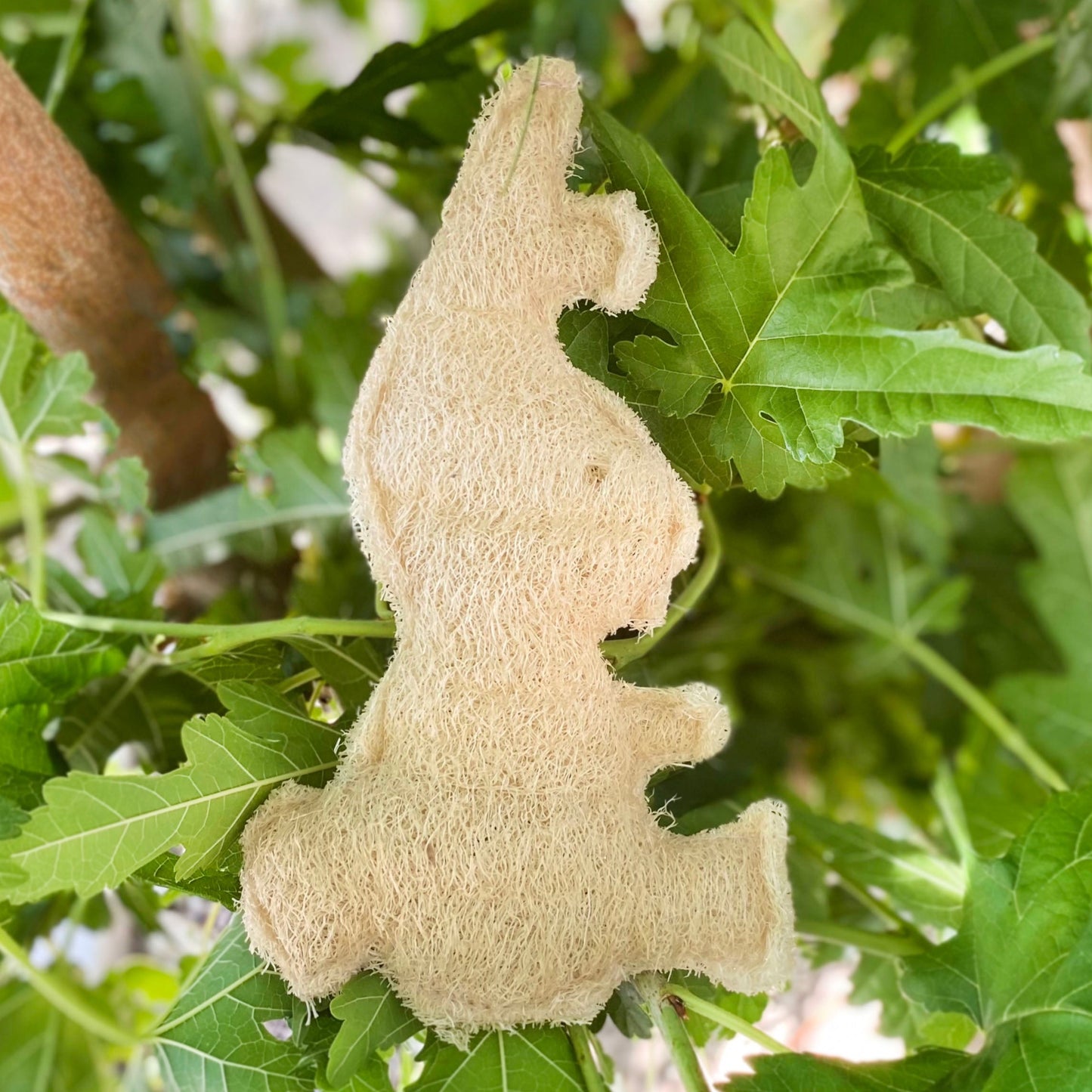 Bunny Loofah Sponge