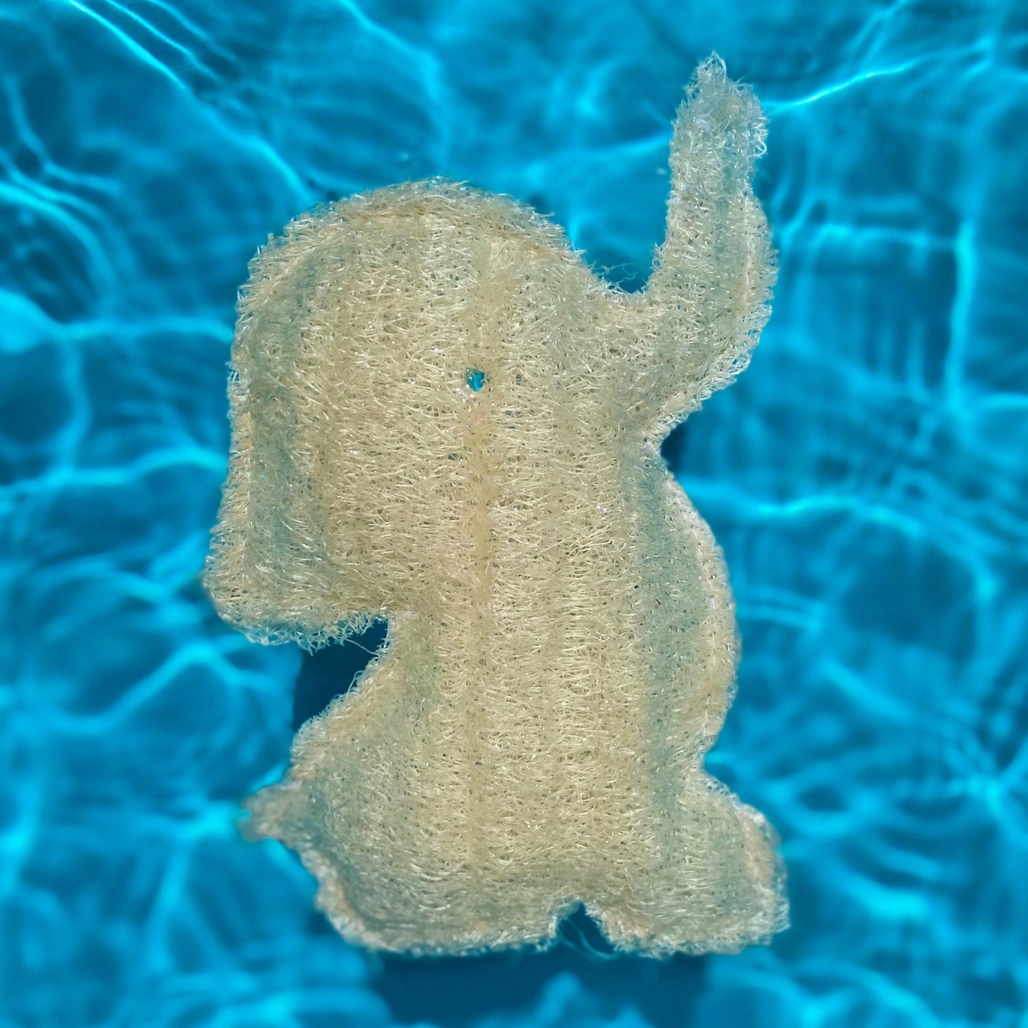 Elephant Loofah Sponge