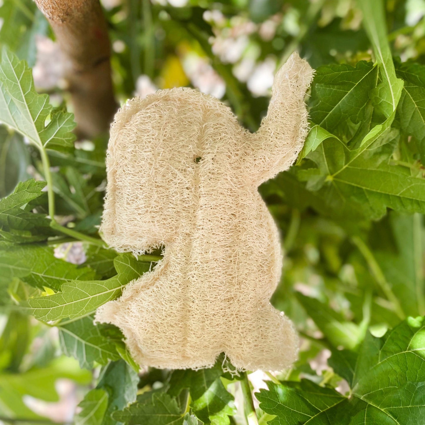 Elephant Loofah Sponge