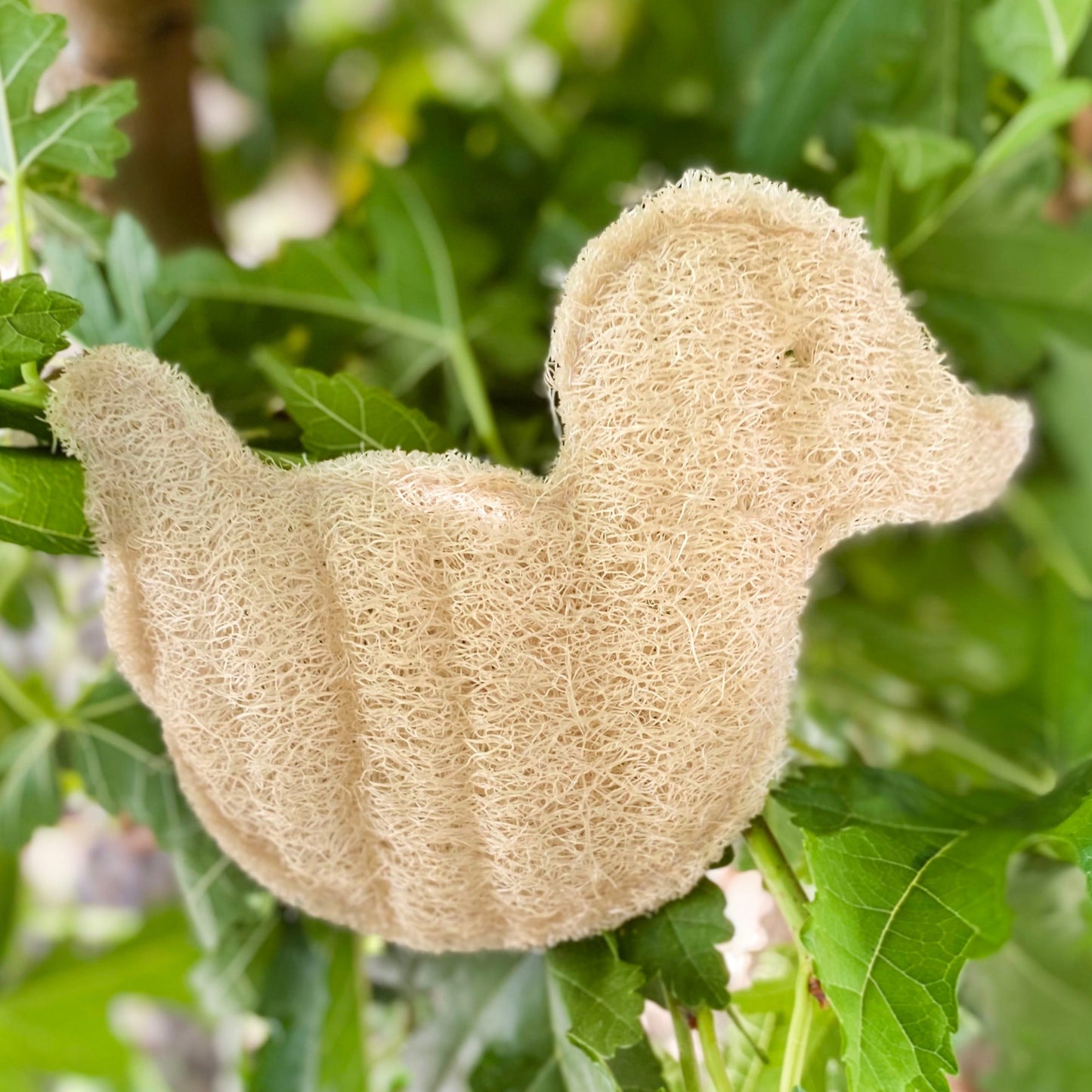 Duck Loofah Sponge