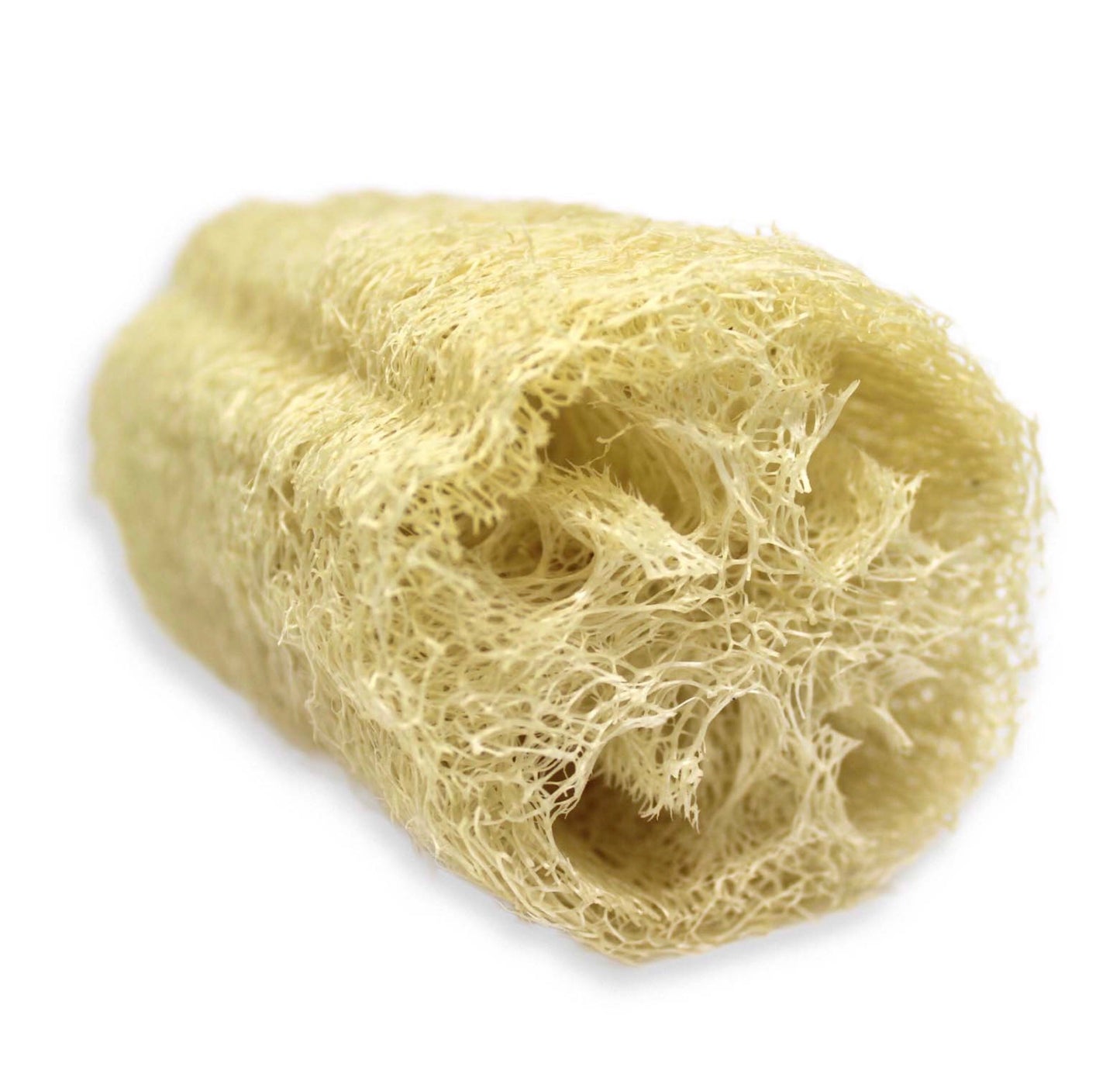 Loofah Sponge