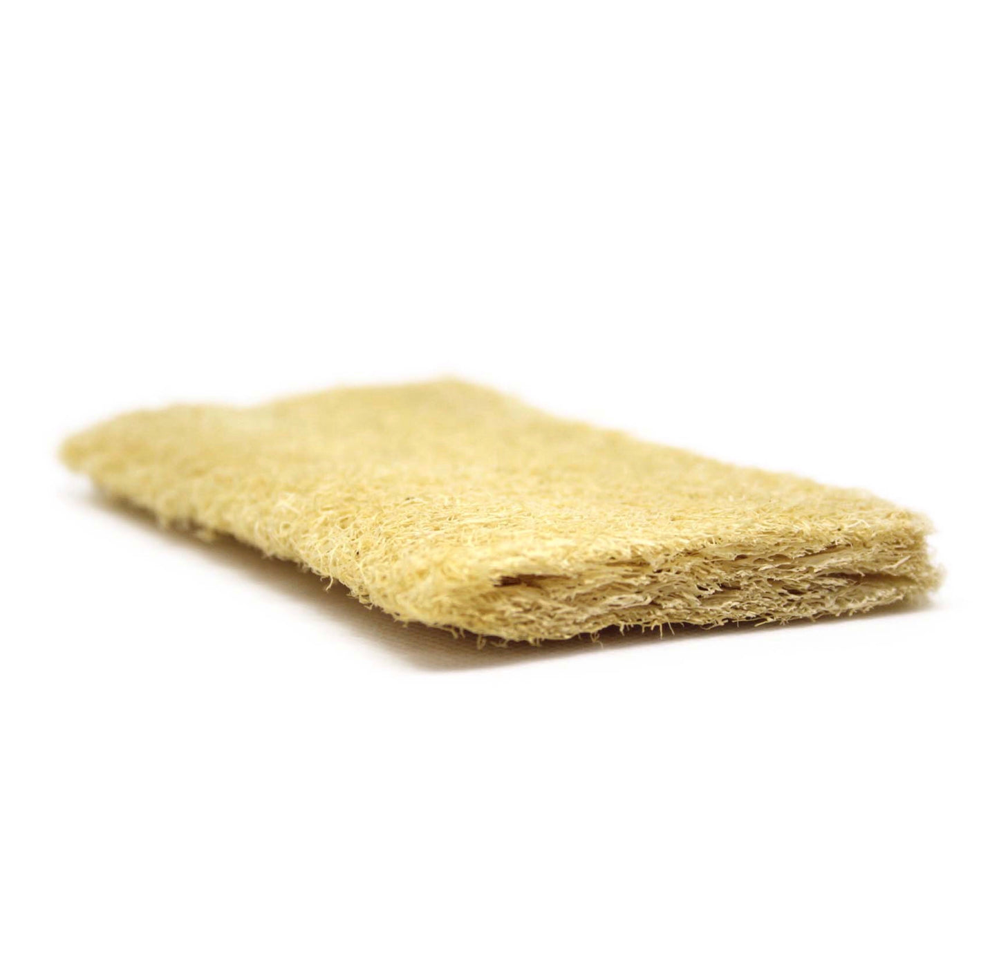 Loofah Sponge