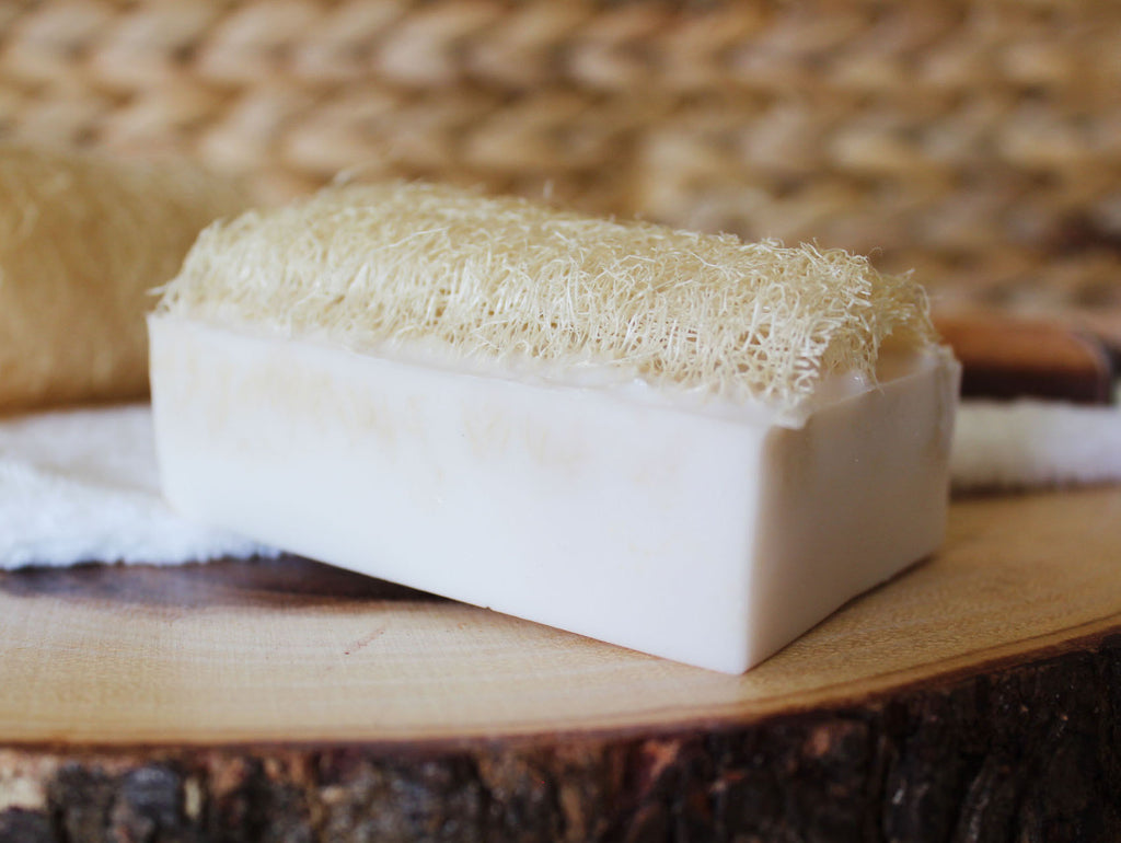 Coconut Shea Butter Loofah Soap Bar