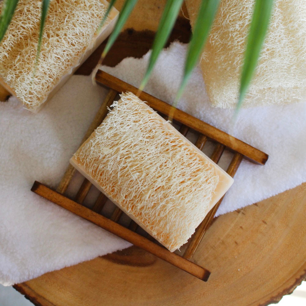 Lovely Day Shea Butter Loofah Soap Bar