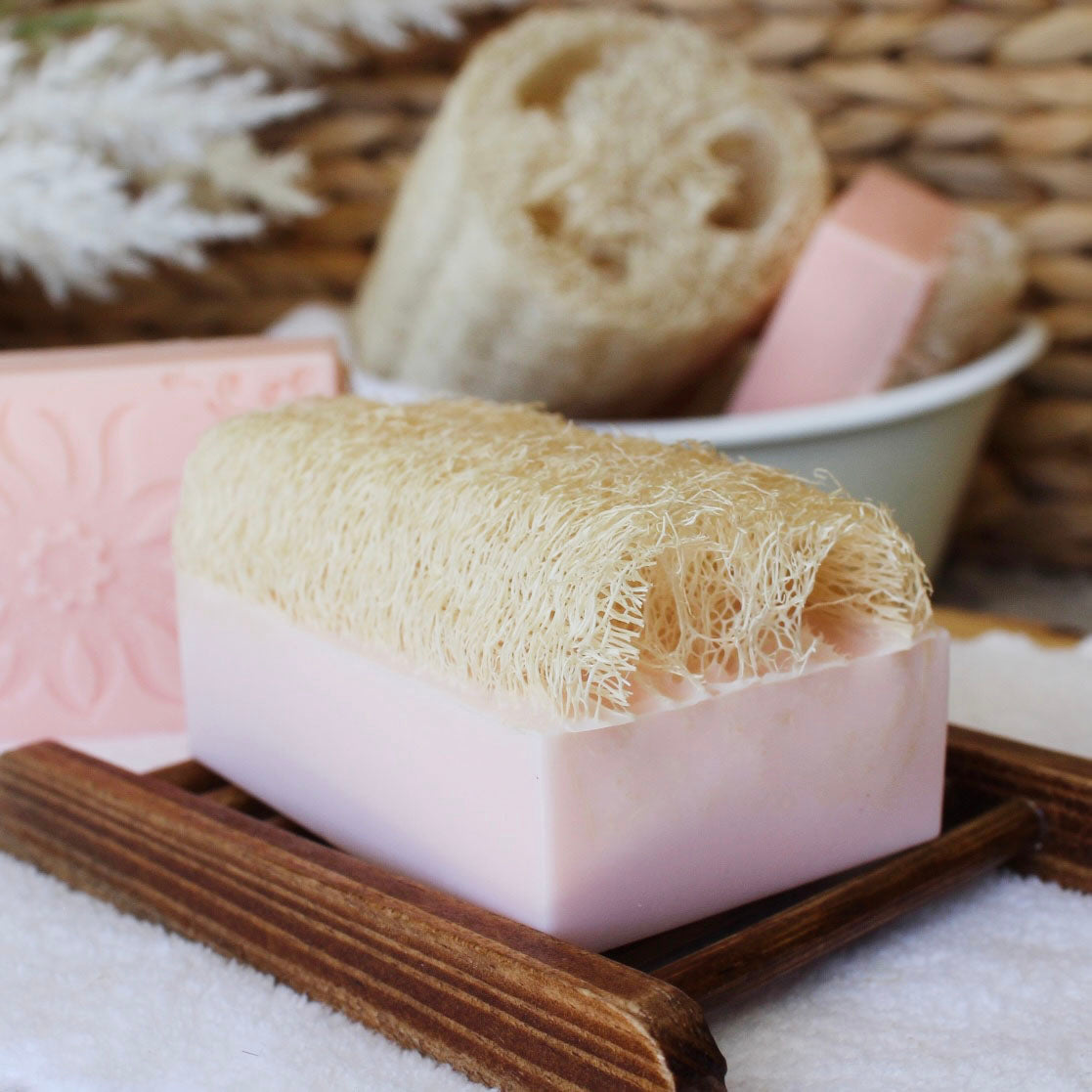 Country Apple Shea Butter Loofah Soap Bar