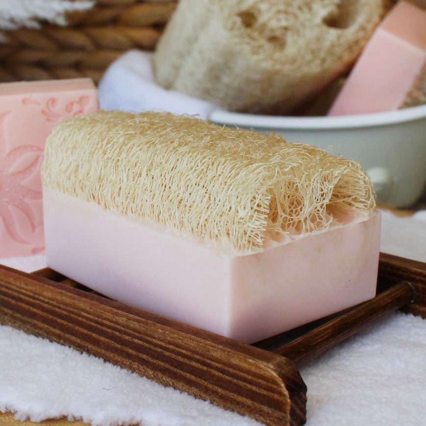 Country Apple Shea Butter Loofah Soap Bar