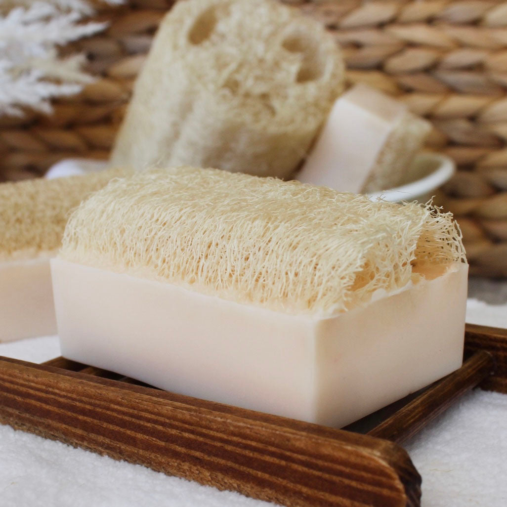 Lovely Day Shea Butter Loofah Soap Bar