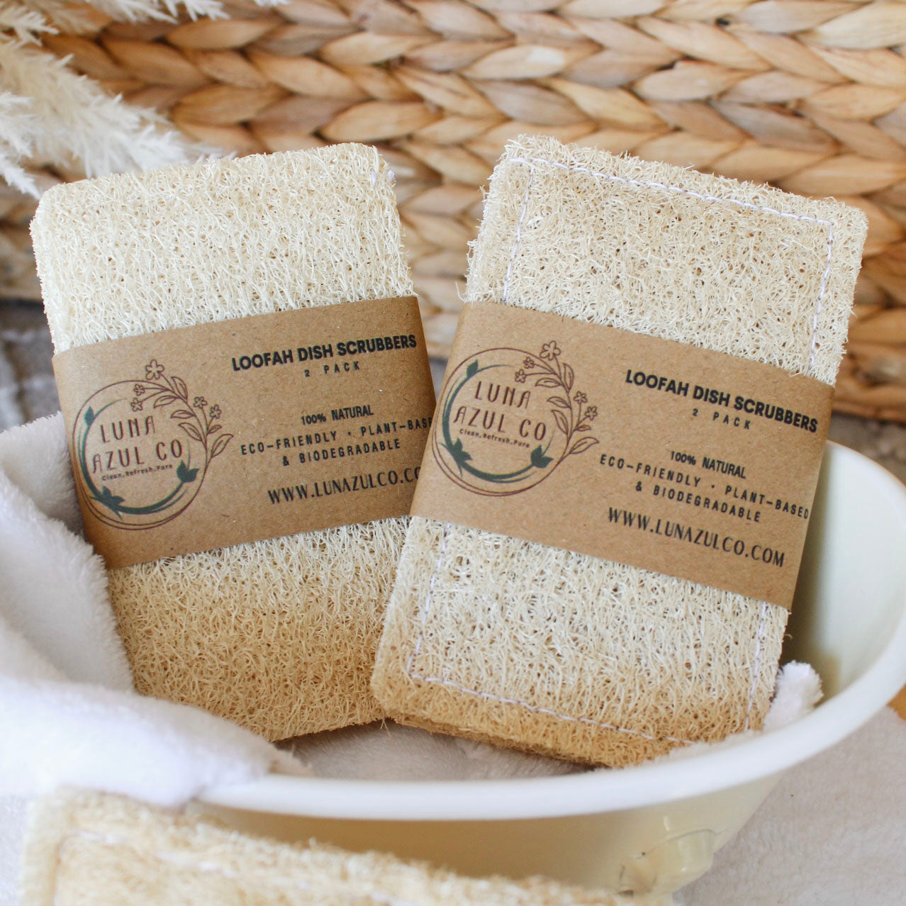 Loofah Sponge Dish Scrubber Pack