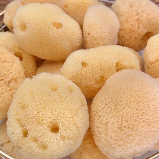 Natural Silk Sea Sponge