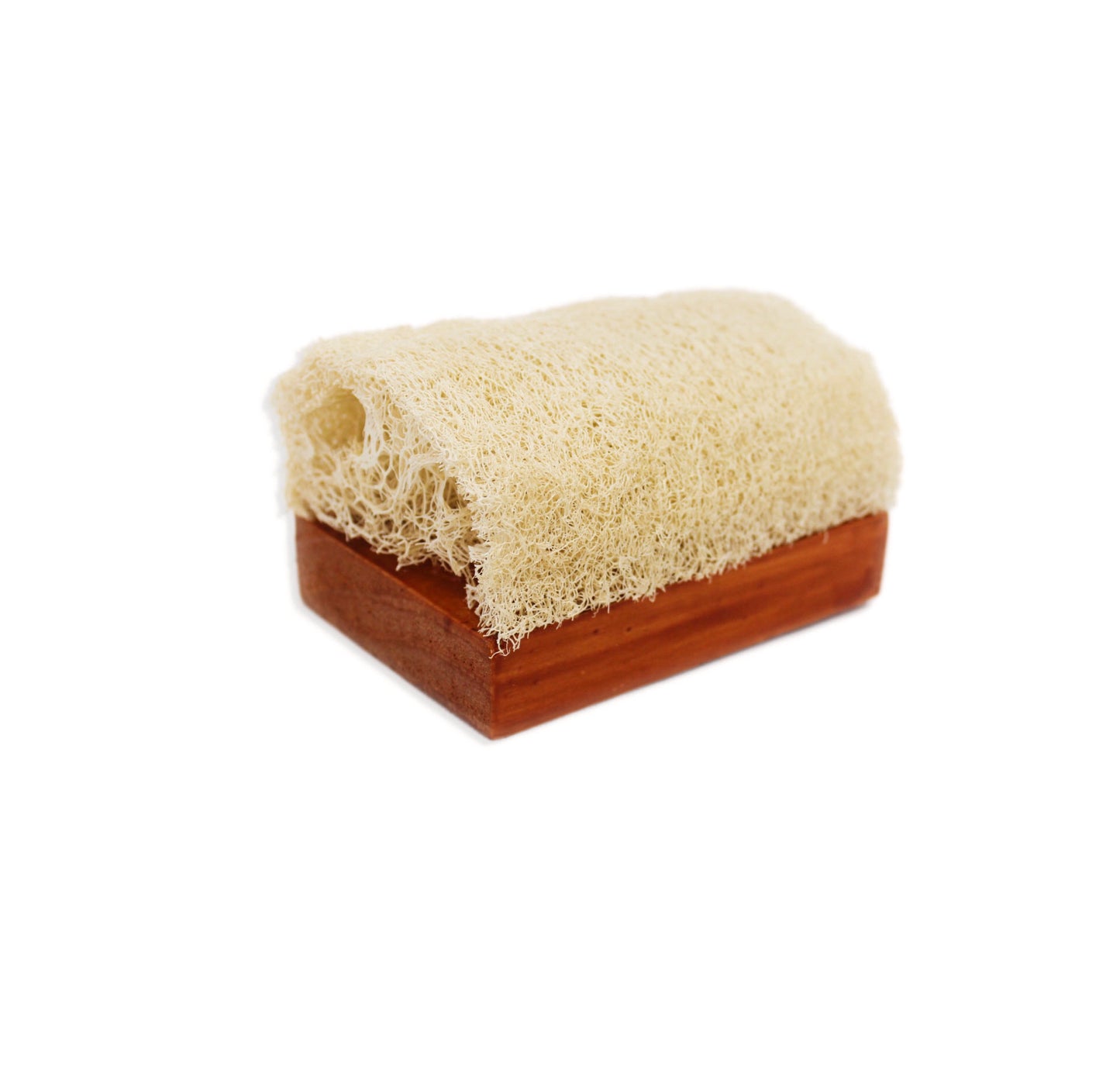 Loofah Woody Scrubber