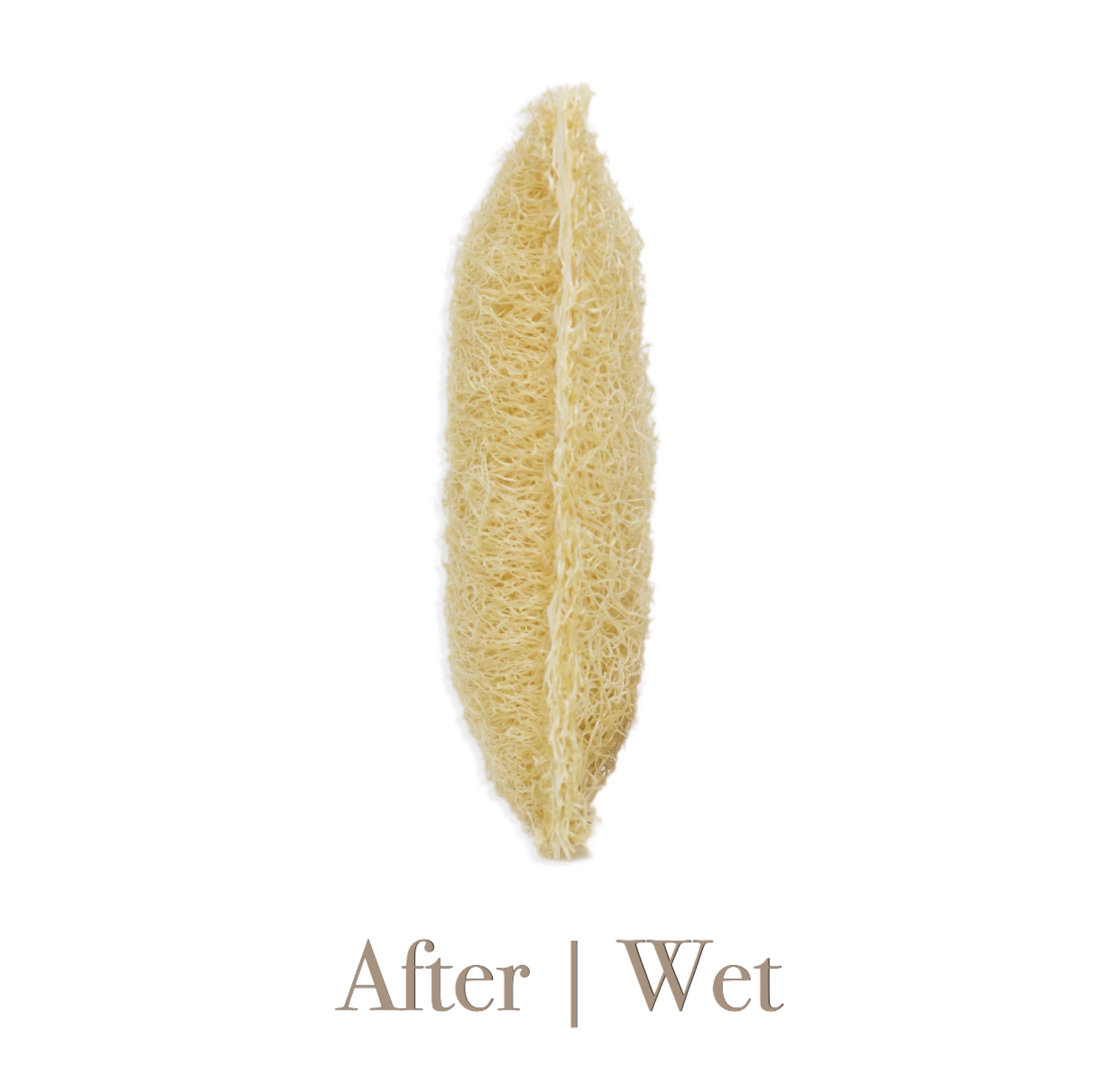 Loofah Sponge Dish Scrubber Pack