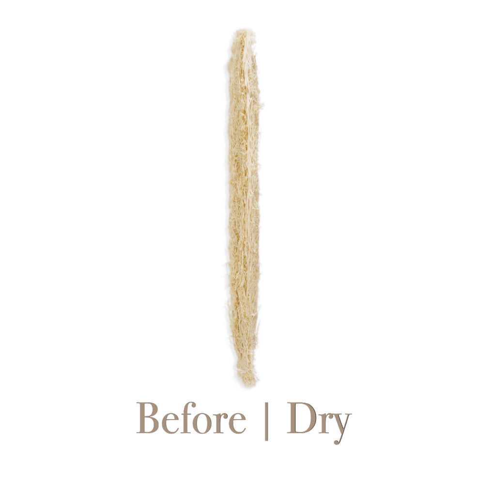 Loofah Sponge Dish Scrubber Pack
