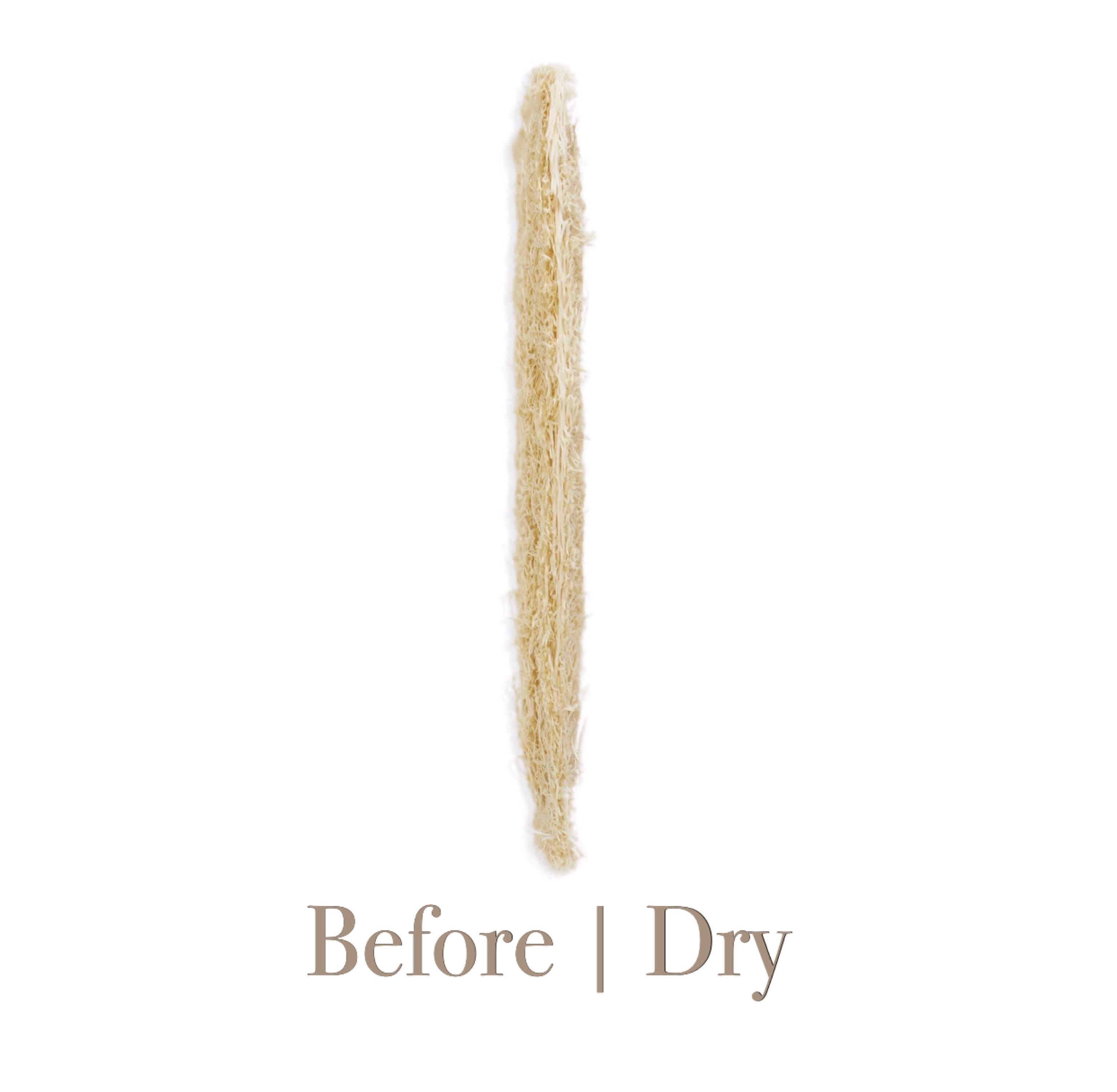 Loofah Sponge Dish Scrubber Pack