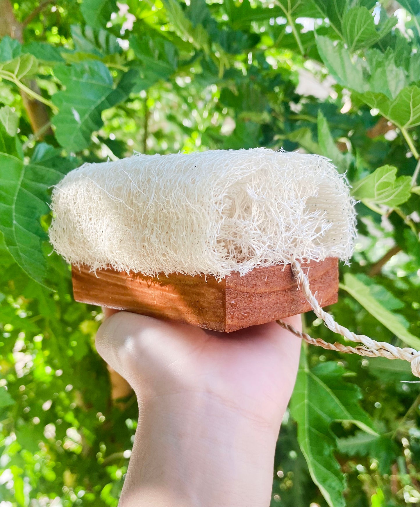 Loofah Woody Scrubber