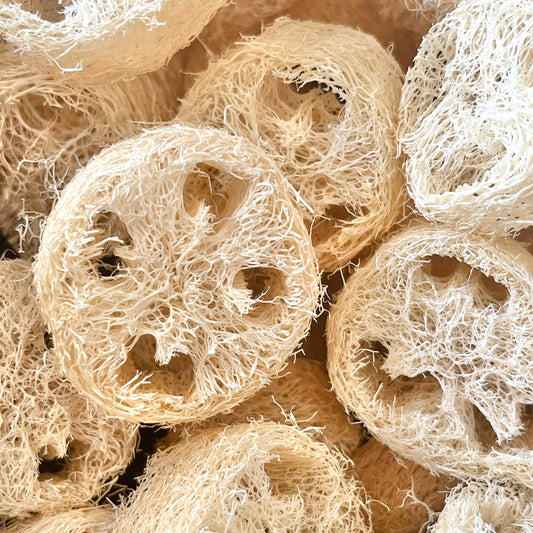 Loofah Mini Slices