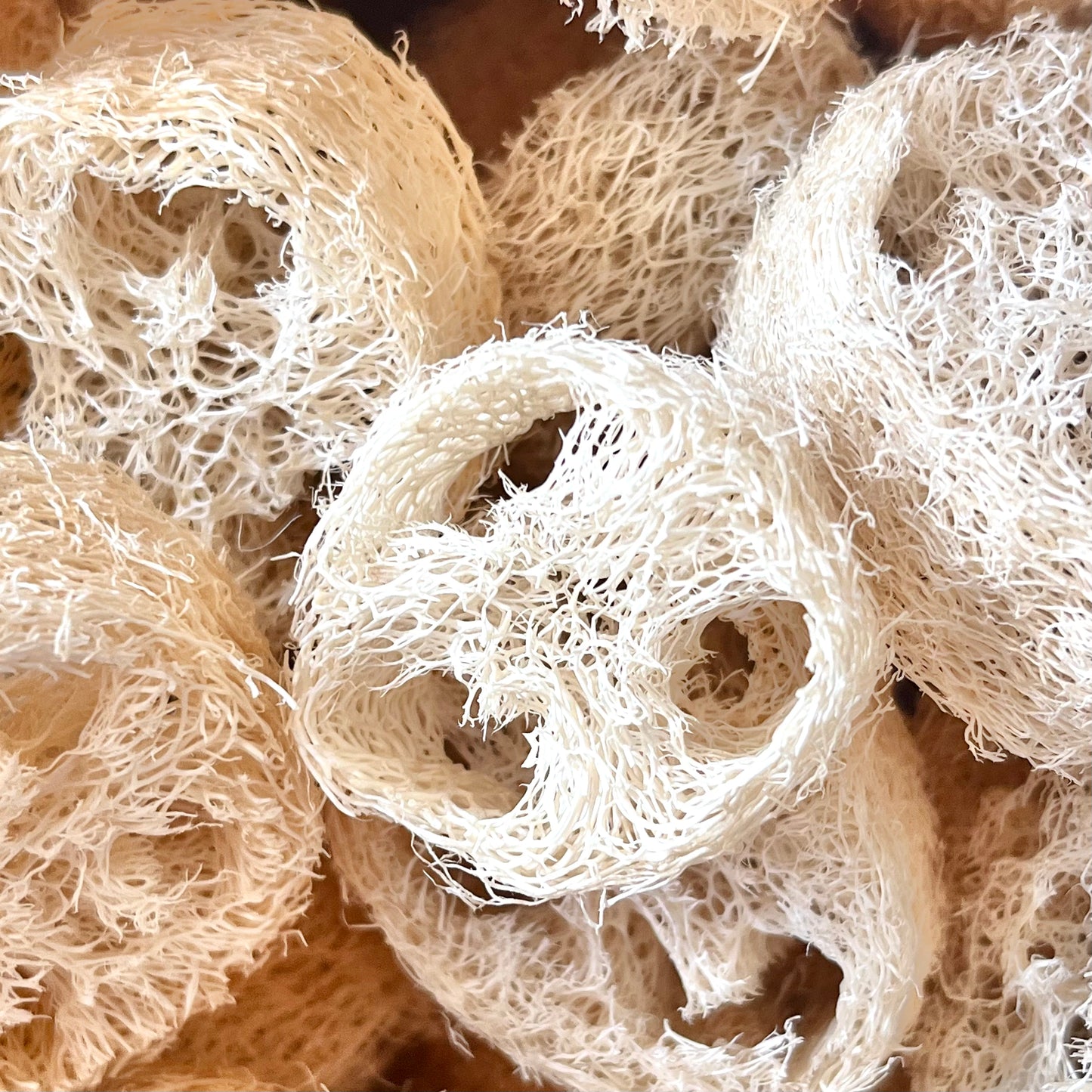 Loofah Mini Slices